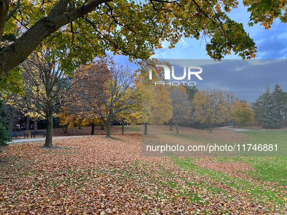 Colorful trees appear during the autumn season in Toronto, Ontario, Canada, on November 5, 2024. Toronto breaks a 65-year-old temperature re...