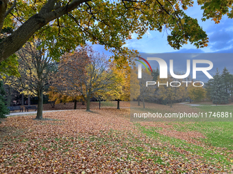 Colorful trees appear during the autumn season in Toronto, Ontario, Canada, on November 5, 2024. Toronto breaks a 65-year-old temperature re...