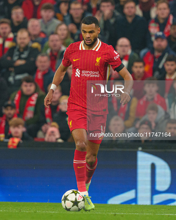 Cody Gakpo plays for Liverpool during the UEFA Champions League 2024/25 League Phase MD4 match between Liverpool and Bayer Leverkusen at Anf...