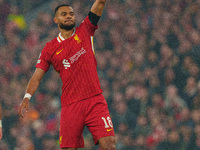 Liverpool's Cody Gakpo celebrates after scoring their second goal during the UEFA Champions League 2024/25 League Phase MD4 match between Li...