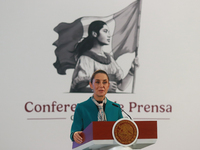 Claudia Sheinbaum Pardo, President of Mexico, speaks during a briefing conference about the victory of Donald Trump as the 47th President of...