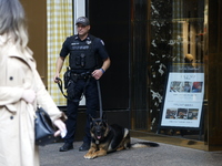 General dress outside Trump Tower in Manhattan, New York, United States, on November 6, 2024. Several Secret Service agents and police offic...