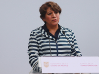 Delfina Gomez, Governor of the State of Mexico, speaks during the Statement on the Strategy to Combat Illegal Logging in the border area bet...