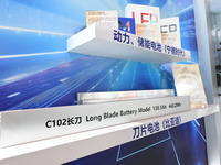 CATL Power, Energy Storage, and Blade batteries (BYD) are on display at the 7th China International Import Expo in Shanghai, China, on Novem...