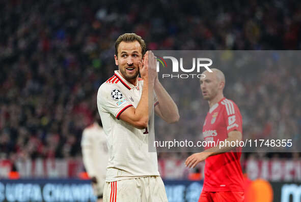 Harry Kane of Bayern Munich  gestures during the Champions League Round 4 match between Bayern Munich v Benfica at the Allianz arena, Munich...