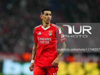 Ángel Di María of Benfica  looks on during the Champions League Round 4 match between Bayern Munich v Benfica at the Allianz arena, Munich,...