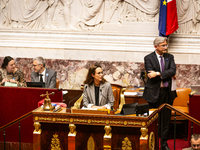 Clemence Guette, a French MP and deputy of the La France Insoumise group (LFI), member of the NFP, and vice president of the National Assemb...