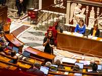 Charlotte Parmentier Lecocq, the French Minister Delegate to the Minister of Solidarity, Autonomy, and Equality between Women and Men, in ch...