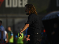 Insua, coach of Barracas Central, gives instructions to his team players during a Liga Profesional 2024 match between Barracas Central and R...