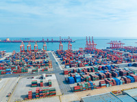 A photo taken on November 7, 2024, shows a working scene at the container terminal of Rizhao Port in Rizhao, China. (