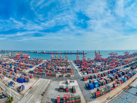 A photo taken on November 7, 2024, shows a working scene at the container terminal of Rizhao Port in Rizhao, China. (