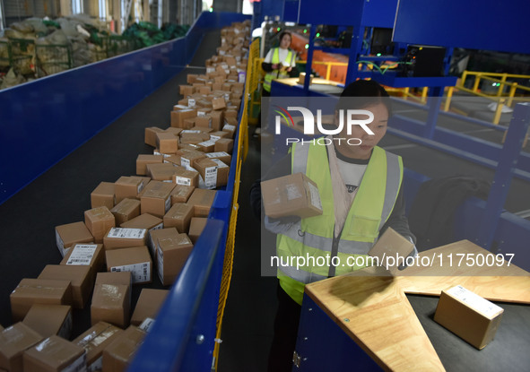 Employees of China Post Express Logistics sort express parcels at an intelligent automatic line in Fuyang, China, on November 7, 2024. 