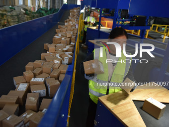 Employees of China Post Express Logistics sort express parcels at an intelligent automatic line in Fuyang, China, on November 7, 2024. (