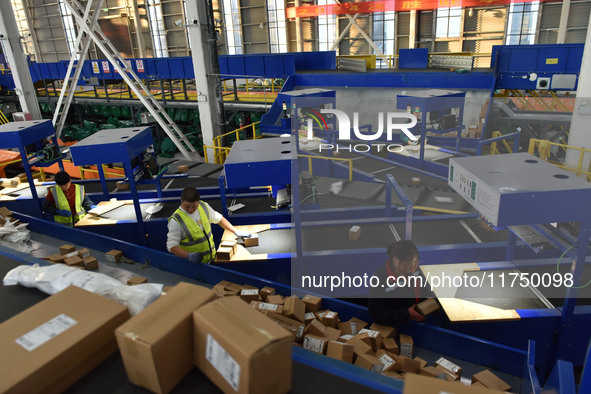 Employees of China Post Express Logistics sort express parcels at an intelligent automatic line in Fuyang, China, on November 7, 2024. 