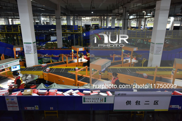 Employees of China Post Express Logistics sort express parcels at an intelligent automatic line in Fuyang, China, on November 7, 2024. 