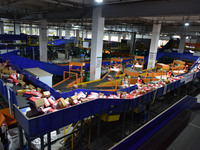 Employees of China Post Express Logistics sort express parcels at an intelligent automatic line in Fuyang, China, on November 7, 2024. (