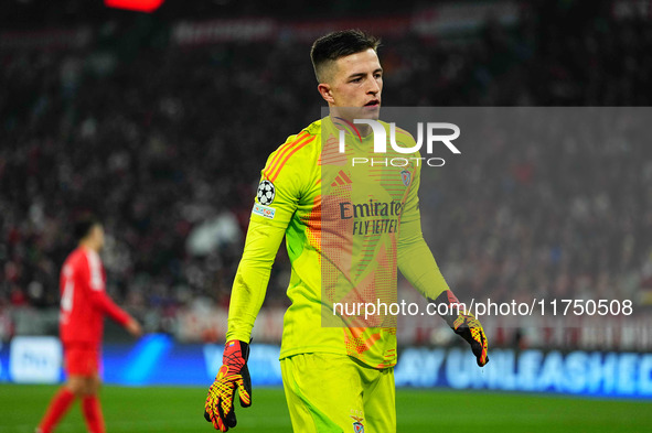 Anatoliy Trubin of Benfica  looks on during the Champions League Round 4 match between Bayern Munich v Benfica at the Allianz arena, Munich,...