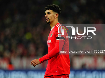 Tomas Araujo of Benfica  looks on during the Champions League Round 4 match between Bayern Munich v Benfica at the Allianz arena, Munich, Ge...