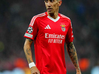 Ángel Di María of Benfica  looks on during the Champions League Round 4 match between Bayern Munich v Benfica at the Allianz arena, Munich,...