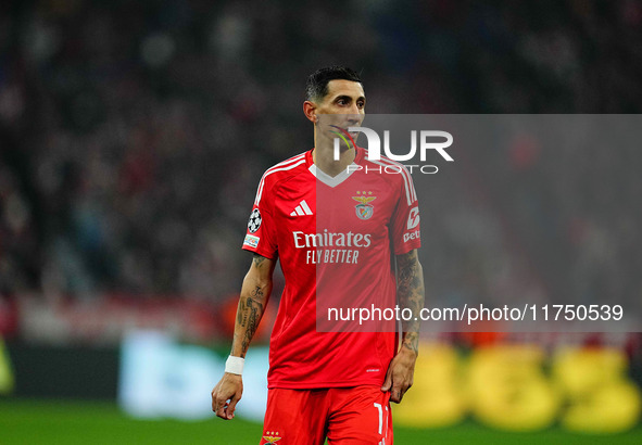 Ángel Di María of Benfica  looks on during the Champions League Round 4 match between Bayern Munich v Benfica at the Allianz arena, Munich,...