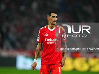 Ángel Di María of Benfica  looks on during the Champions League Round 4 match between Bayern Munich v Benfica at the Allianz arena, Munich,...