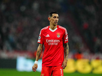 Ángel Di María of Benfica  looks on during the Champions League Round 4 match between Bayern Munich v Benfica at the Allianz arena, Munich,...