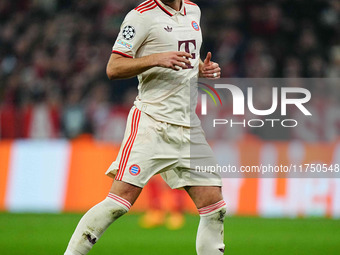 Harry Kane of Bayern Munich  looks on during the Champions League Round 4 match between Bayern Munich v Benfica at the Allianz arena, Munich...