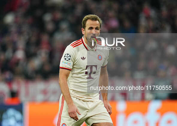 Harry Kane of Bayern Munich  looks on during the Champions League Round 4 match between Bayern Munich v Benfica at the Allianz arena, Munich...