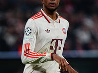 Michael Olise of Bayern Munich  looks on during the Champions League Round 4 match between Bayern Munich v Benfica at the Allianz arena, Mun...