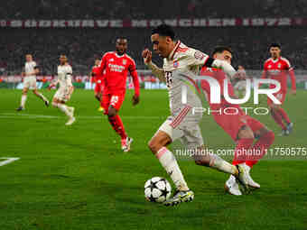 Jamal Musiala of Bayern Munich  controls the ball during the Champions League Round 4 match between Bayern Munich v Benfica at the Allianz a...