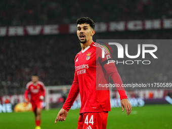 Tomas Araujo of Benfica  looks on during the Champions League Round 4 match between Bayern Munich v Benfica at the Allianz arena, Munich, Ge...