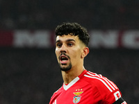 Tomas Araujo of Benfica  looks on during the Champions League Round 4 match between Bayern Munich v Benfica at the Allianz arena, Munich, Ge...