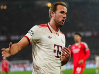 Harry Kane of Bayern Munich  looks on during the Champions League Round 4 match between Bayern Munich v Benfica at the Allianz arena, Munich...