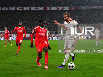 Harry Kane of Bayern Munich  controls the ball during the Champions League Round 4 match between Bayern Munich v Benfica at the Allianz aren...