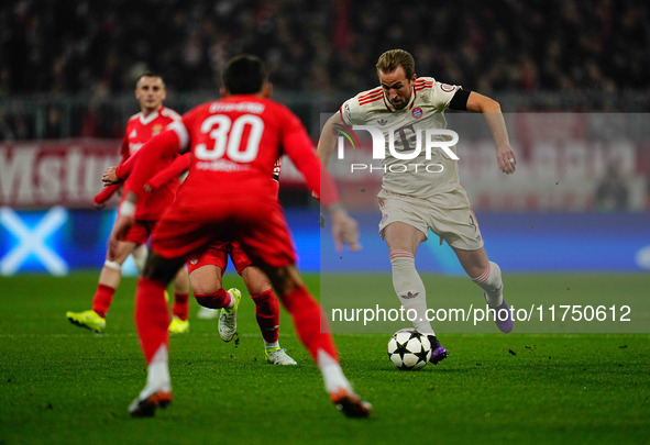 Harry Kane of Bayern Munich  controls the ball during the Champions League Round 4 match between Bayern Munich v Benfica at the Allianz aren...