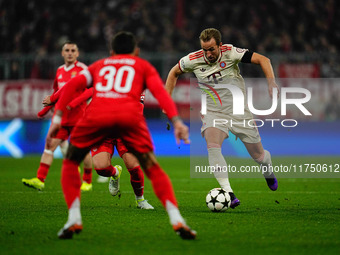 Harry Kane of Bayern Munich  controls the ball during the Champions League Round 4 match between Bayern Munich v Benfica at the Allianz aren...