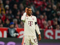 Michael Olise of Bayern Munich  looks on during the Champions League Round 4 match between Bayern Munich v Benfica at the Allianz arena, Mun...