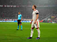 Harry Kane of Bayern Munich  looks on during the Champions League Round 4 match between Bayern Munich v Benfica at the Allianz arena, Munich...