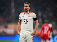 Harry Kane of Bayern Munich  looks on during the Champions League Round 4 match between Bayern Munich v Benfica at the Allianz arena, Munich...