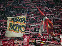  Bayern Munich fans  during the Champions League Round 4 match between Bayern Munich v Benfica at the Allianz arena, Munich, Germany, on Nov...