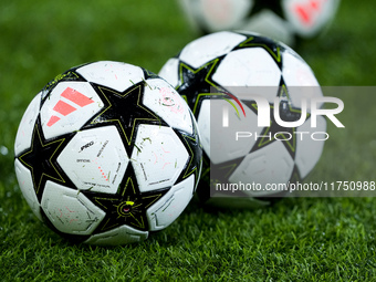 Official Adidas UEFA Champions league match balls during the UEFA Champions League 2024/25 League Phase MD4 match between Bologna FC and AS...