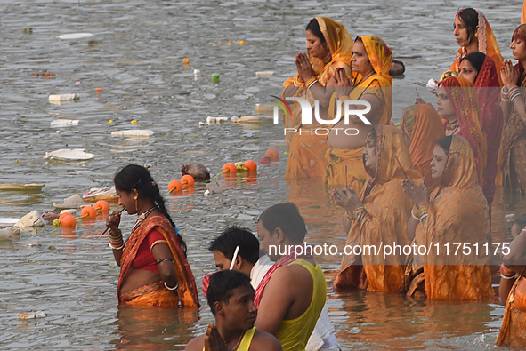 Hindu women devotees perform rituals in a water body in the river Ganga during the Hindu festival Chhath in Kolkata, India, on November 7, 2...