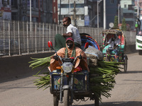 A rickshaw van driver transports passengers and vegetable goods to their destination in Dhaka, Bangladesh, on November 7, 2024. (