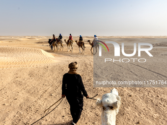 Tourists ride on camels in a caravan on dunes of Eastern Sahara desert on a sunny day on October 30, 2024 near Douz, Tunisia. (