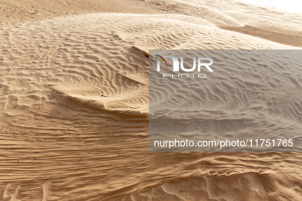 Dunes of Eastern Sahara desert are seen on a sunny day on October 30, 2024 near Douz, Tunisia. 