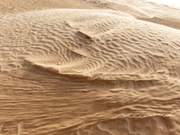 Dunes of Eastern Sahara desert are seen on a sunny day on October 30, 2024 near Douz, Tunisia. (