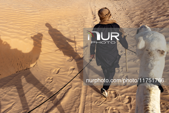 A bedouin leads camels on dunes of Eastern Sahara desert on a sunny day on October 30, 2024 near Douz, Tunisia. 