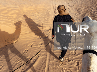 A bedouin leads camels on dunes of Eastern Sahara desert on a sunny day on October 30, 2024 near Douz, Tunisia. (