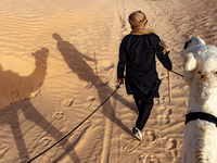 A bedouin leads camels on dunes of Eastern Sahara desert on a sunny day on October 30, 2024 near Douz, Tunisia. (