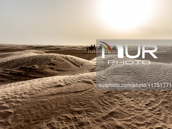 Tourists ride on camels in a caravan on dunes of Eastern Sahara desert on a sunny day on October 30, 2024 near Douz, Tunisia. (